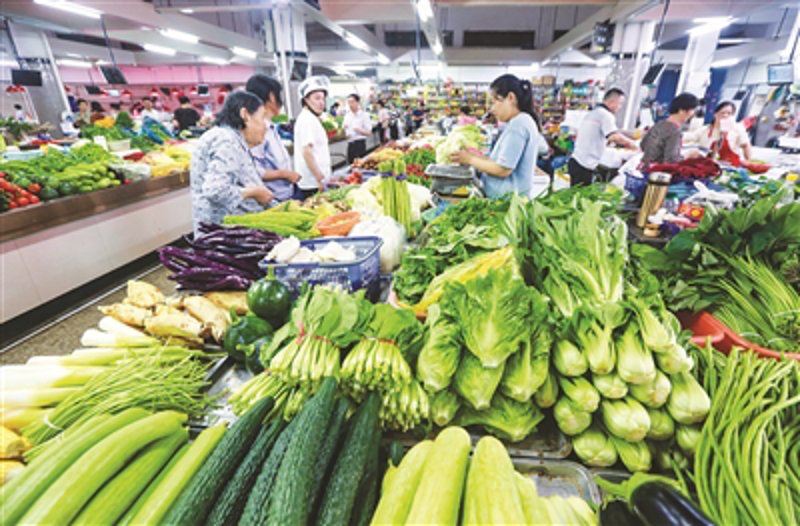 临海蔬菜种植实战攻略：不同作物的种植技巧对比
